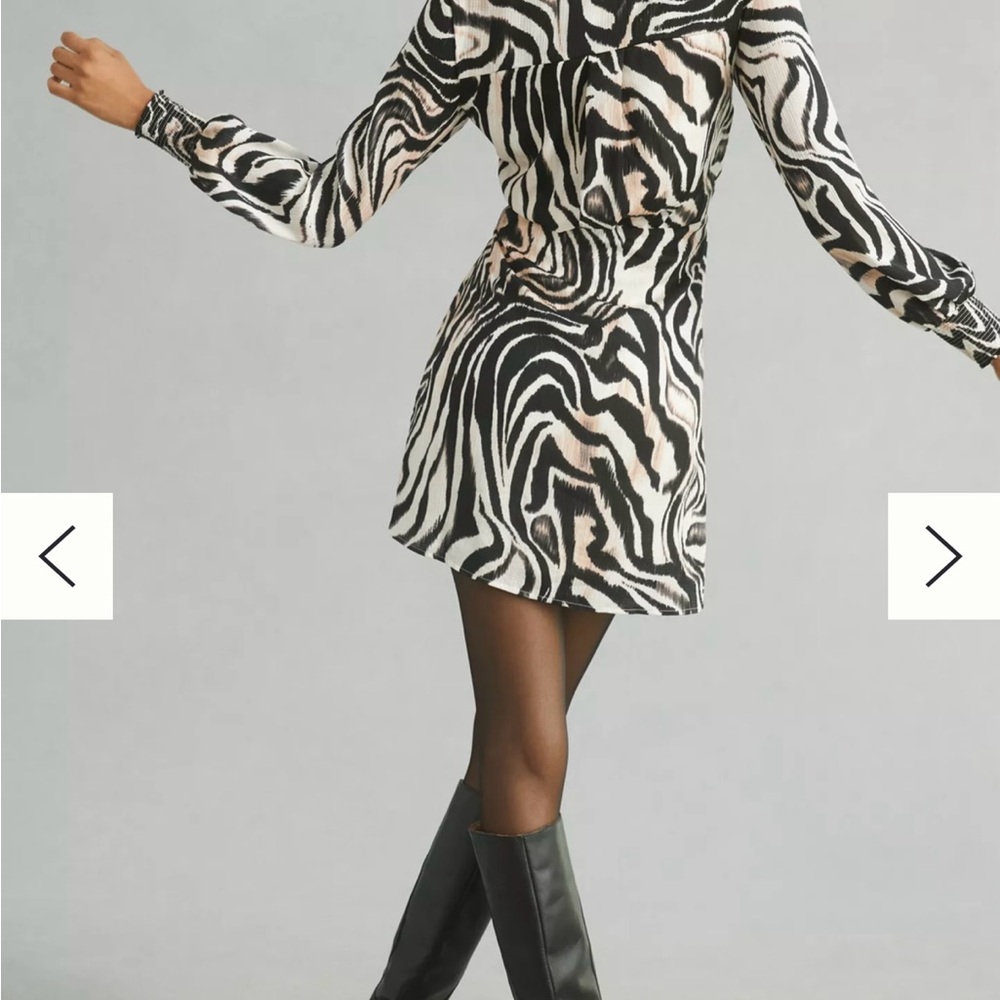 Anthropology Chic Zebra Print mini Dress size large - Picture 4 of 6